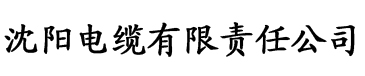 亚洲狠狠爱一区二区三区电缆厂logo